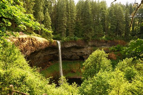 usa, Parks, Waterfalls, Forests, Canyon, Silver, Falls, State, Park, Nature, Wallpapers ...