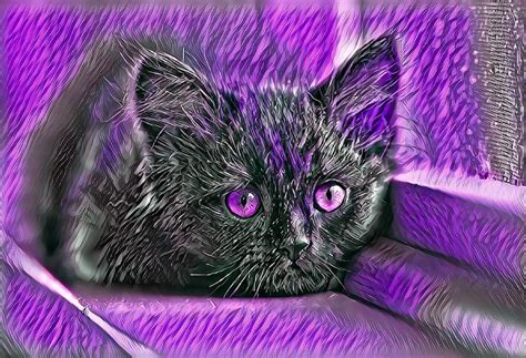 Super Cool Black Cat Purple Eyes Digital Art by Don Northup - Pixels