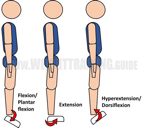 Plantar Flexion Contracture