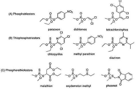 Principal types of organophosphates [48]. | Download Scientific Diagram