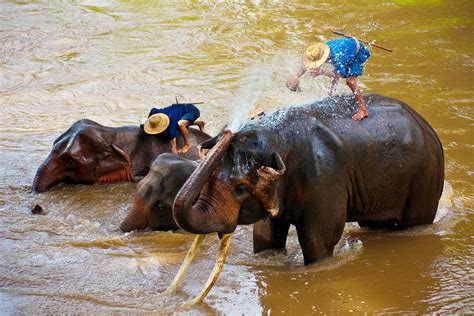 Nature & Wildlife - Cambodia Travel