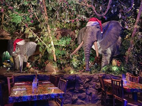 Rainforest Cafe (Animal Kingdom Park) Dinner Review — Gluten Free & Dairy Free at WDW