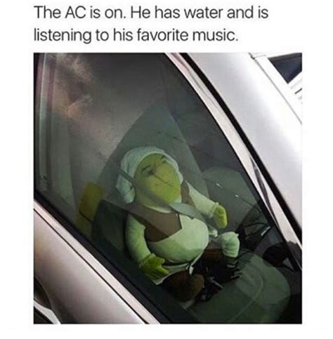 Pin by Ficus on Shrek | Funny relatable memes, Dankest memes, Memes