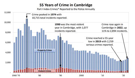 Cambridge 2022 Serious Crime Review