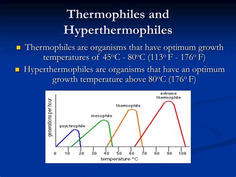 PPT - Viruses of Thermophilic Organisms PowerPoint Presentation, free download - ID:508571