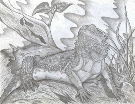 Bearded Dragon Pencil Drawing - Etsy