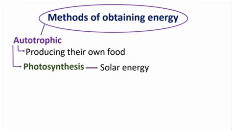 SOLVED:A cell that can use energy from the sun, and CO2 as a carbon source is a a ...