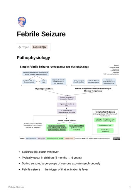 Neurology Febrile Seizure - Febrile Seizure 1 Febrile Seizure Topic ...