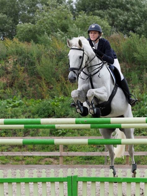 Showjumping Horse stock image. Image of grey, riding - 171007461