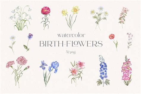 Birth Flowers Clipart, Watercolor Flowers, Carnation, Rose, Poppy, Lily ...