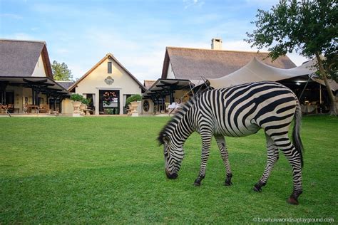 Hotel Review: Royal Livingstone Hotel, luxury at Victoria Falls! | The ...