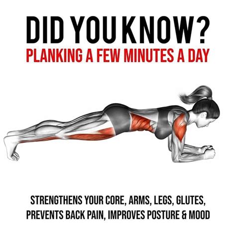 Think You Can Complete This 30-Day Plank Challenge? – Fitness Volt