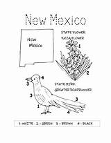 NEW MEXICO STATE BIRD AND FLOWER COLORING PAGE  Teaching Resources sketch template