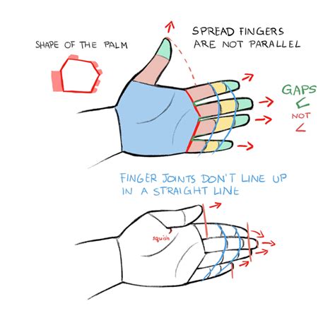 How to Draw Hands and Feet | Art Rocket