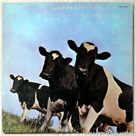 Pink Floyd ‎– Atom Heart Mother (1970) Vinyl, LP, Album – Voluptuous Vinyl Records