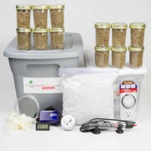 Deluxe Mushroom Growing Kits | Indoor Mushroom Growing - Caligrowkits