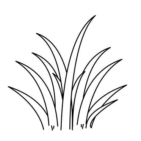 Green Grass Drawing at GetDrawings | Free download