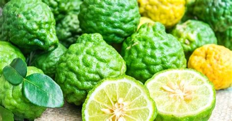 Heart Disease: How Citrus Bergamot Can Help - NutriONN Supplements