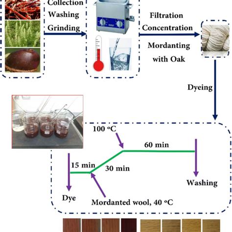 Wool/mordant/dye relation in dyeing process | Download Scientific Diagram