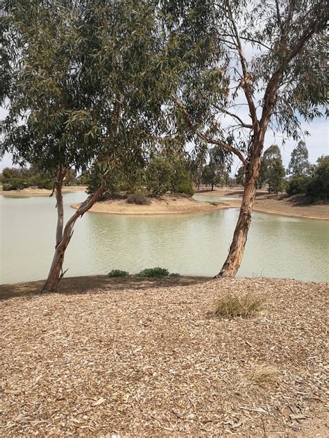 Narromine Wetlands - The McGrane Way, Narromine NSW 2821, Australia