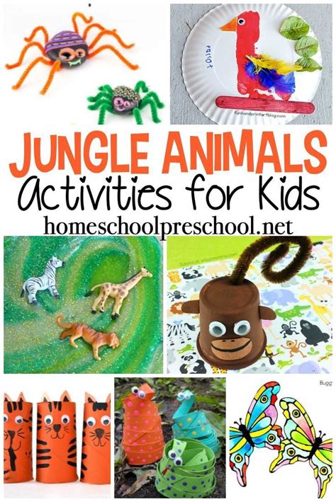 Fun Jungle Animal Activities for Preschoolers | Homeschool Preschoolrn ...