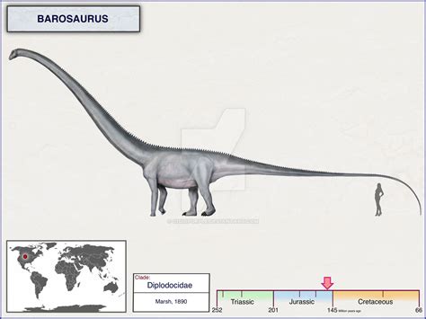 Barosaurus by cisiopurple on DeviantArt