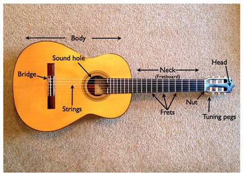 Acoustic Guitar- Labeled Parts | Self Taught Guitar Lessons