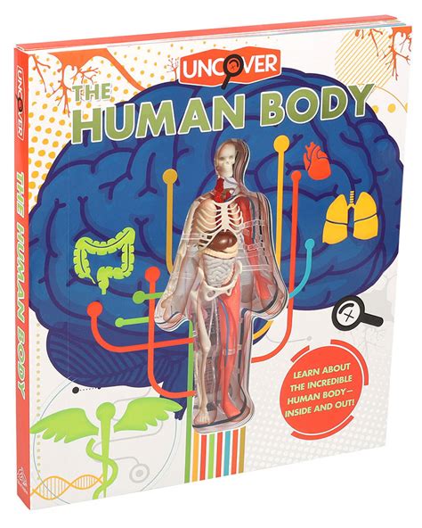 Human Body | Children's Books | Silver Dolphin Books