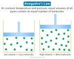 Avogadro’s Law: Statement, Formula, Examples, and Problems