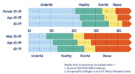 Abdominal Fat Visceral Fat Level Chart