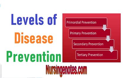 What are the 3 levels of Disease Prevention with examples ? - NursingNotes