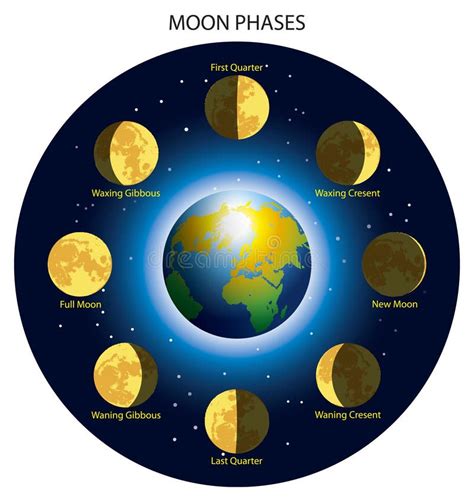 Moon phases stock illustration. Illustration of detail - 22975223