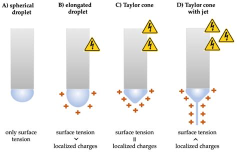 Schematic illustration of the Taylor cone formation as the high voltage... | Download Scientific ...