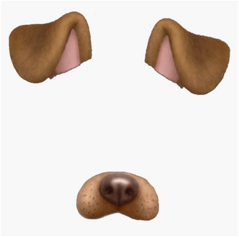 Snapchat Dog Filter Png, Transparent Png - kindpng