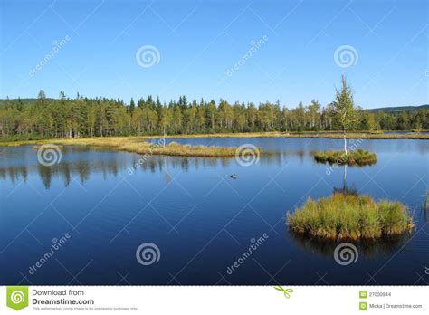 Lake in National Park Bohemian Forest Stock Photo - Image of autumn, national: 27000944