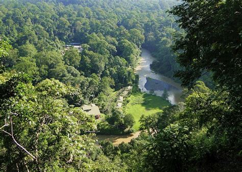 Borneo Rainforest Lodge | Hotels in Danum Valley | Audley Travel UK