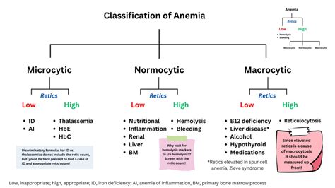 Morphological Classification of Anemia • The Blood Project