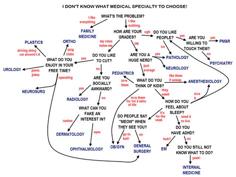 Navigating medical careers & deciding on a specialty