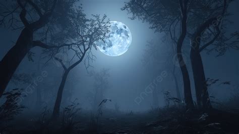 Moonlit Mystical Forest A 3d Render Of A Foggy Night Background, Scary Forest, Dark Forest ...