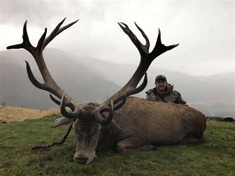 New Zealand – Land of the giant red deer