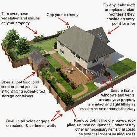 Rodent Proofing Your Home - www.tidyhouse.info