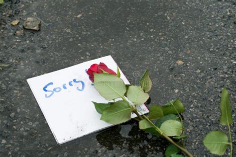 Handwritten Apology Note and a Red Rose on the Ground Stock Photo ...