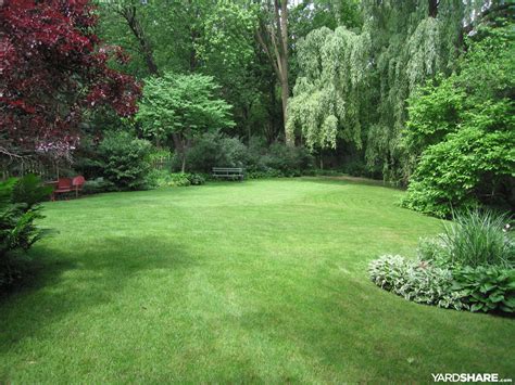 Landscaping Ideas > Backyard at Whispering Oaks | YardShare.com