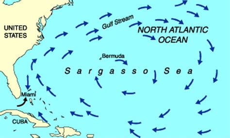 After the Mortgage: Bermuda Triangle, Columbus and Sargassum seaweed...