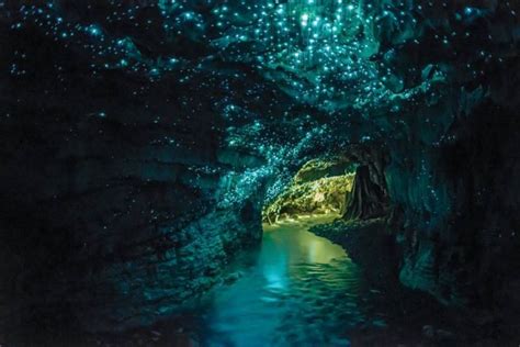 Waitomo Glowworm Caves underground black water rafting