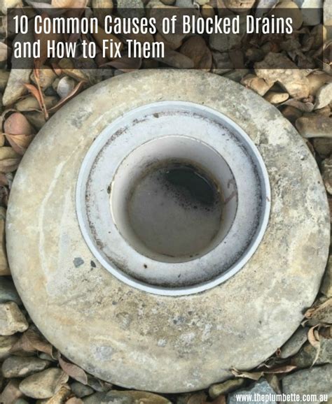 10 Common Causes of Blocked Drains and How to Fix Them - The Plumbette