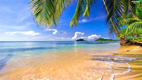 Islands, Tropical, sea, Palms, Beaches - Beautiful views wallpapers: 1920x1080