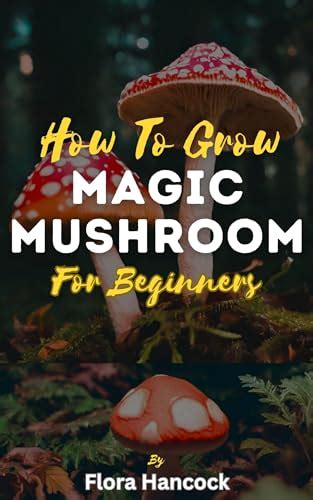 HOW TO GROW MAGIC MUSHROOM FOR BEGINNERS: A Complete Guide to ...