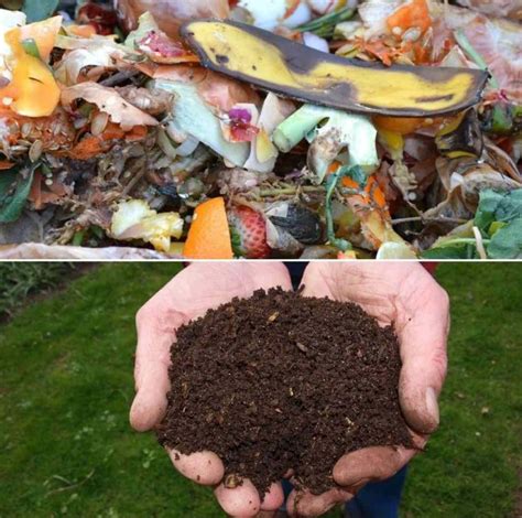 How to Make Compost from Kitchen Waste/Scraps | Gardening Tips