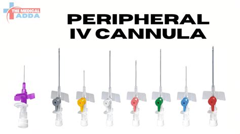 Types Of IV Cannula / IV Catheter: A Comprehensive Guide » The Medical Adda